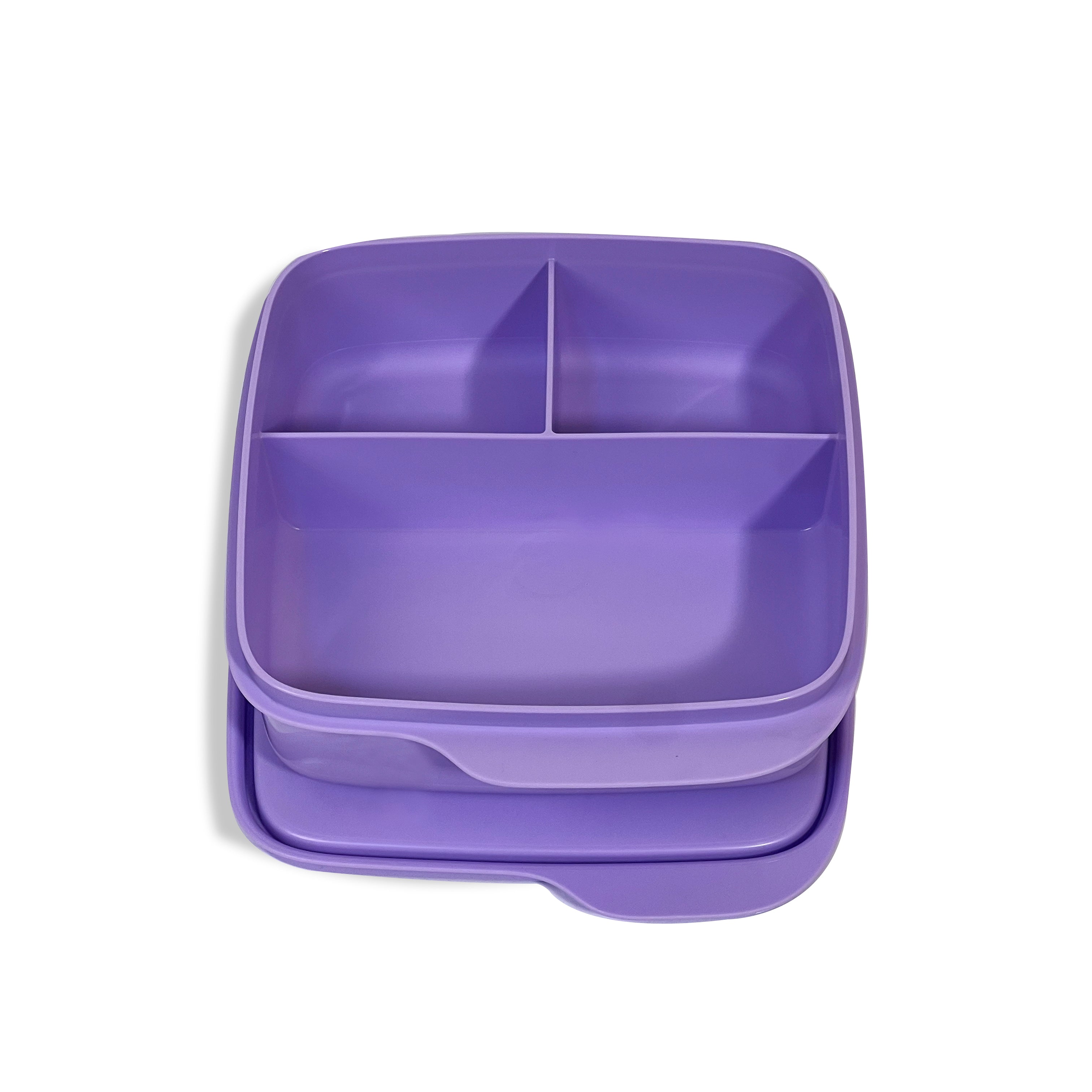 Divided 550 ml lunchbox - colored