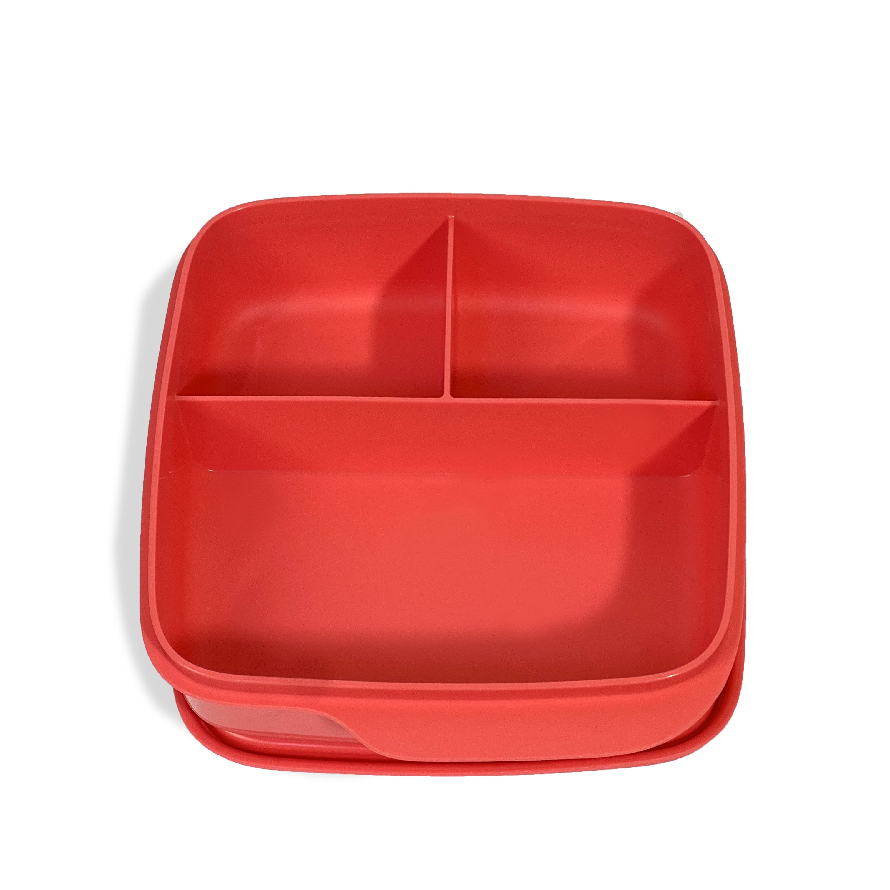 Divided 550 ml lunchbox - colored