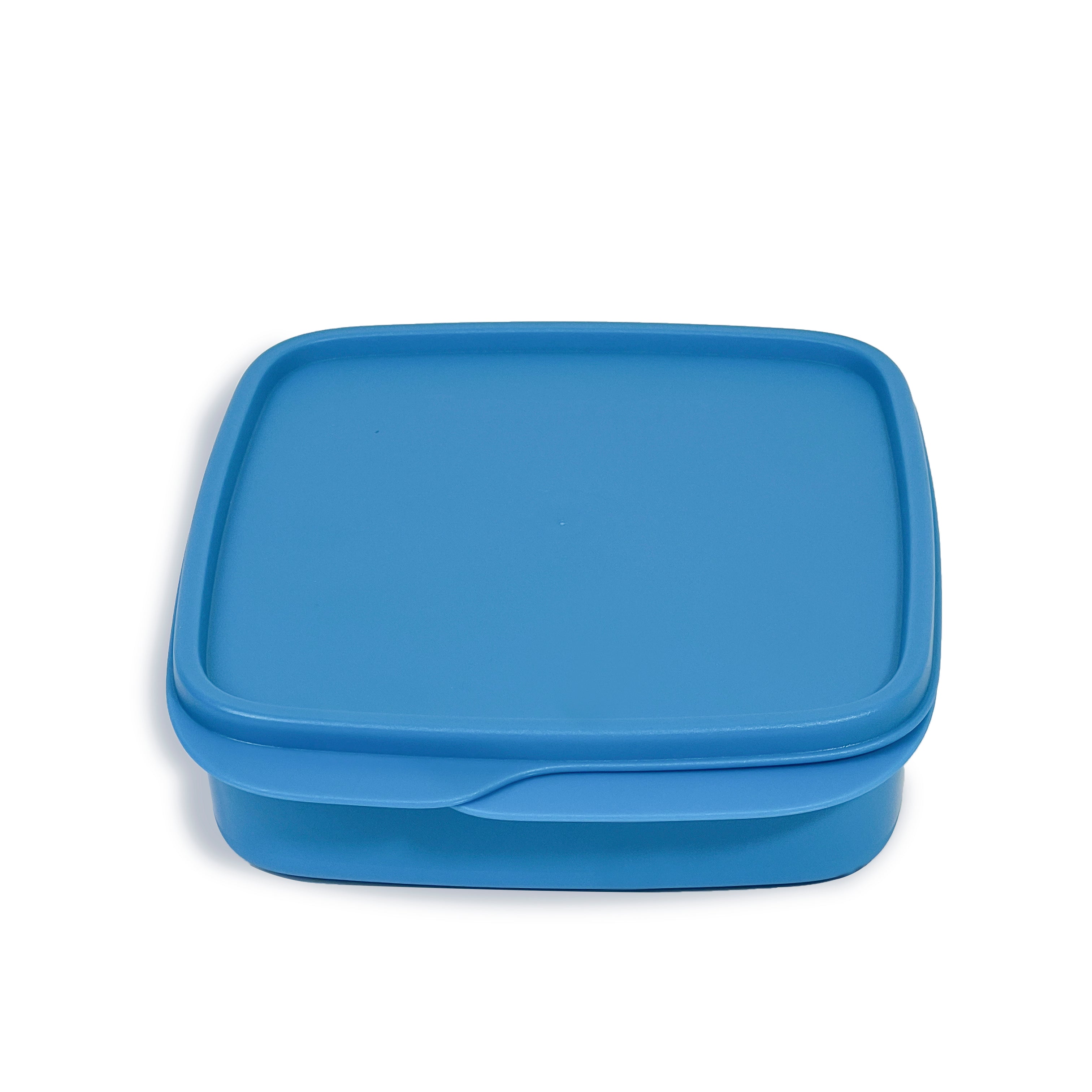 Divided 550 ml lunchbox - colored